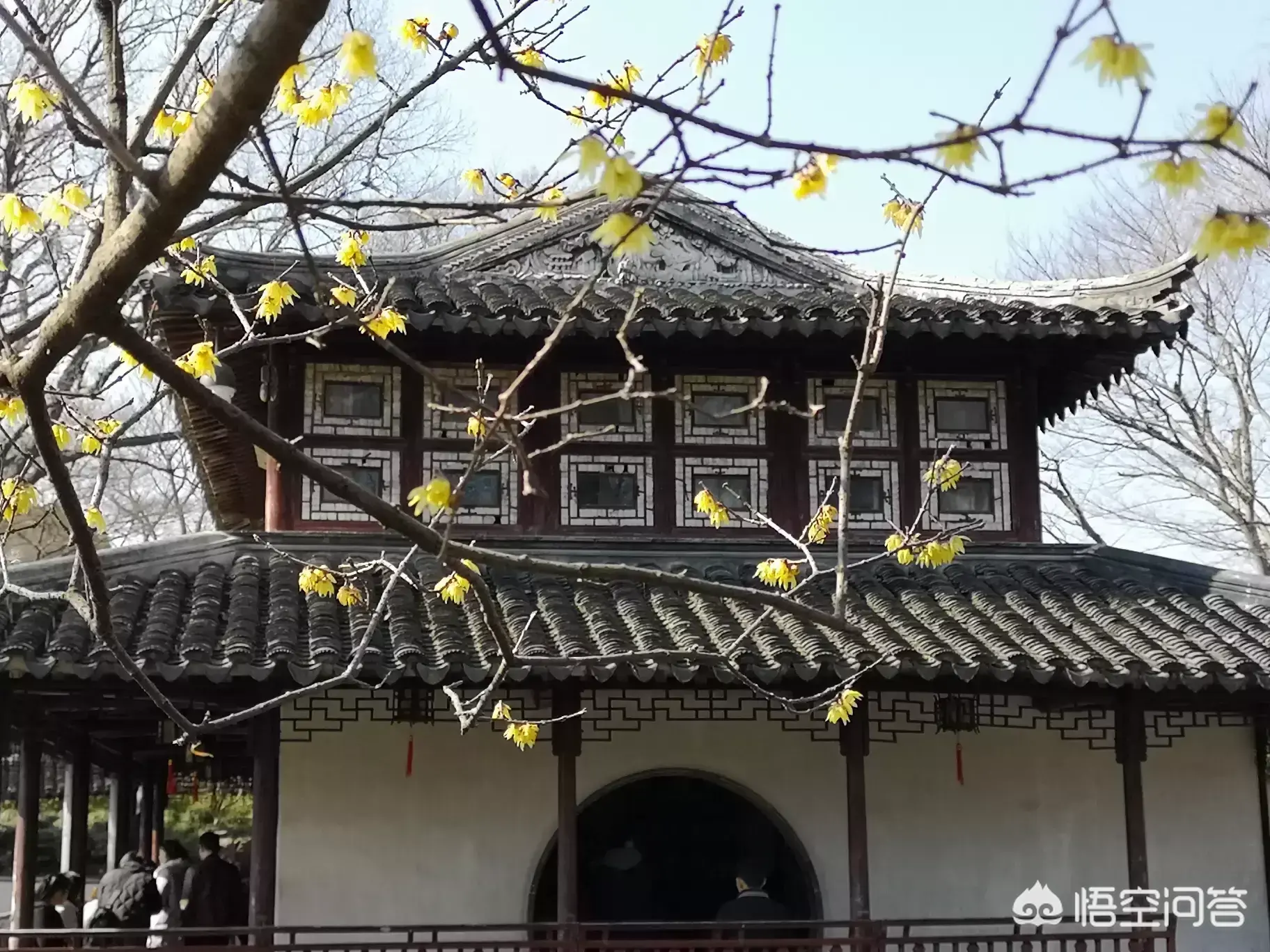 苏州园林有哪些景点(苏州园林的游览顺序介绍及图片)
